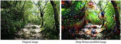 A predictive coding approach to psychedelic virtual-induced hallucinations and creative cognition in aging